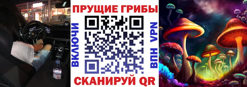 Псилоцибиновые грибы Magic Shrooms  Купить  Арзамас 